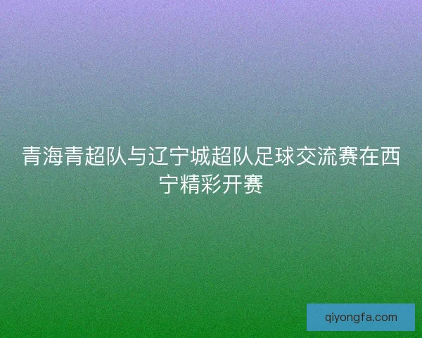 青海青超队与辽宁城超队足球交流赛在西宁精彩开赛